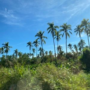 Meet your Posher, Kiki